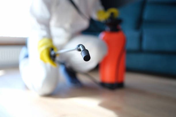 Best Airborne Mold Testing  in Goldstream, AK