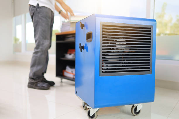 Trusted Goldstream, AK Mold Removal Experts