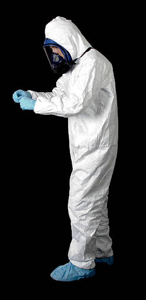 Best Basement Mold Removal  in Goldstream, AK