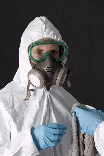 Best Emergency Mold Remediation  in Goldstream, AK